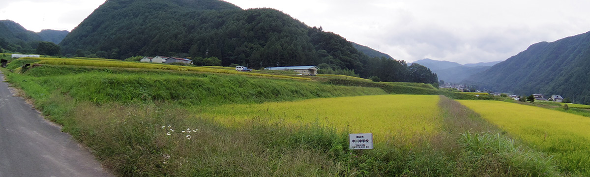 横浜市立中川中学校田植えの記録091111